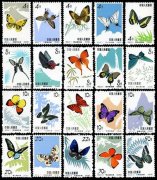 特56 蝴蝶邮票